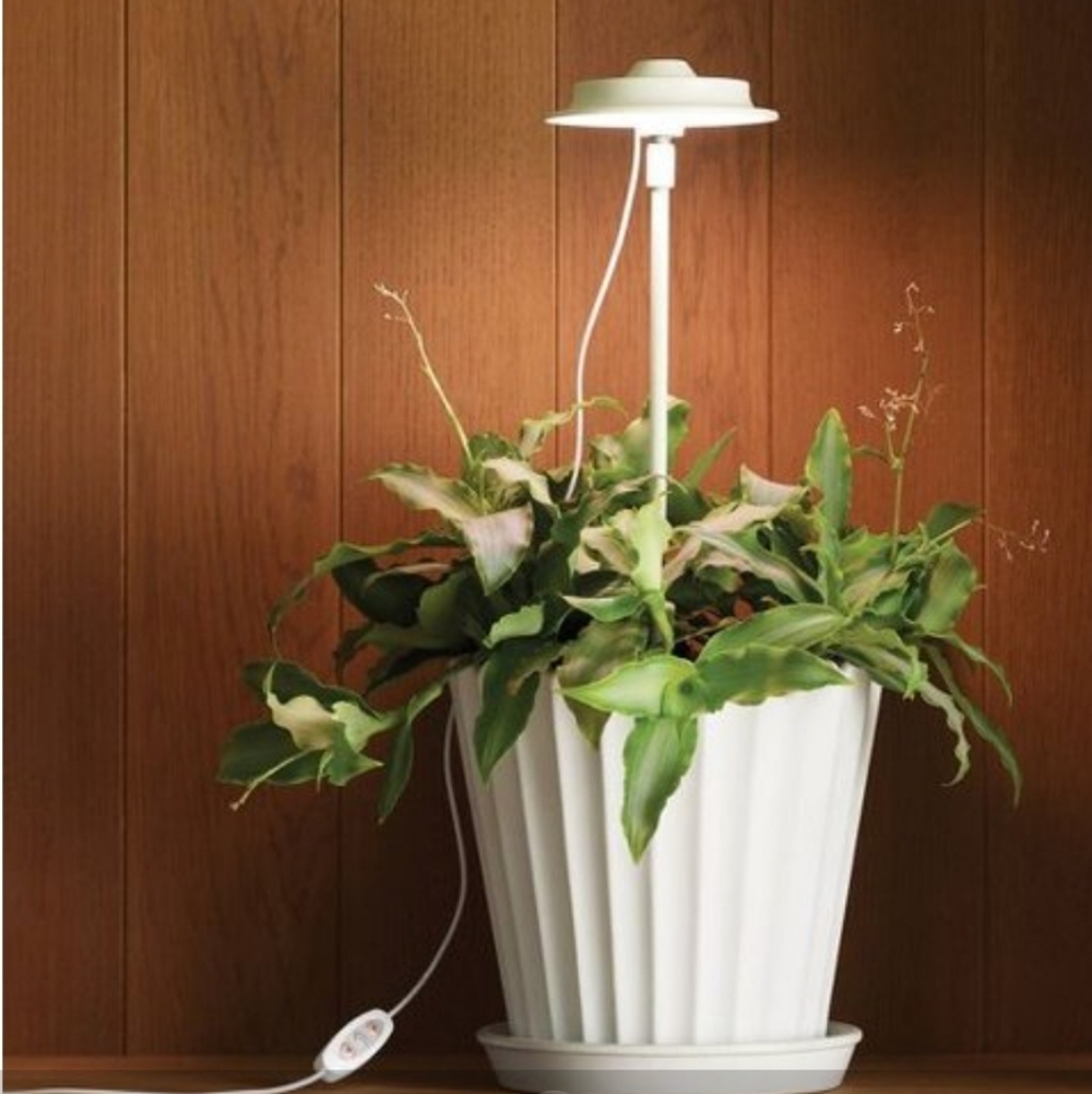 Plant Grow Light